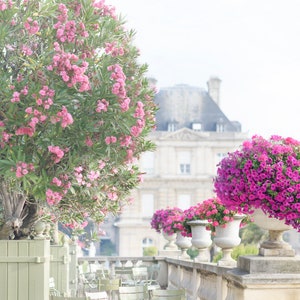 Paris Photography - Late Summer at Luxembourg Gardens, French Home Decor, Gallery Wall, Large Wall Art, Pink Paris Art Print
