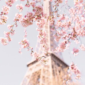 Paris Photography - Accolade Cherry Blossoms at the Eiffel Tower, Spring in Paris, Paris Art Print, Travel Photograph, Large Wall Art