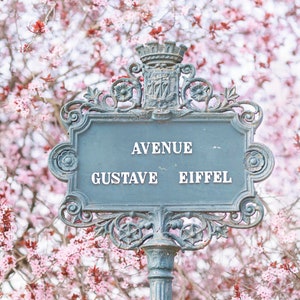 Fotografia di Parigi - Avenue Gustave Eiffel, Primavera a Parigi, Cartello di Parigi con fiori di prugno, Fotografia artistica di viaggio, Grande arte murale