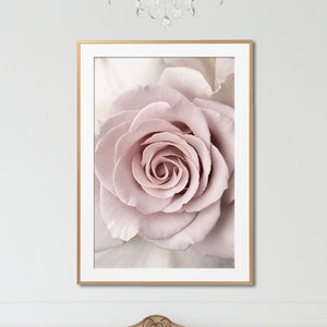 Peut inclure: Une photographie rapproch&eacute;e d'une seule rose rose p&acirc;le avec une texture douce et velout&eacute;e. La rose est nette, tandis que l'arri&egrave;re-plan est flou, cr&eacute;ant un effet r&ecirc;veur.