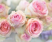 Paris Photography - Roses in Paris Flower Market, French Travel Photograph, Romantic Home Decor, Large Wall Art