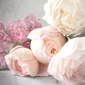 Rose Photography - Pale Blooms, Romantic Pink Roses, Nature Photography, Feminine Home Decor, Large Wall Art