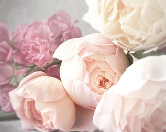 Rose Photography - Pale Blooms, Romantic Pink Roses, Nature Photography, Feminine Home Decor, Large Wall Art