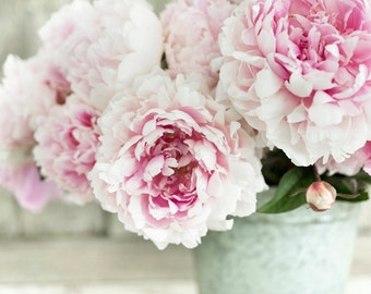 Peony Photograph -  Chinese Peonies, Floral Decor, Large Wall Art, Home Decor