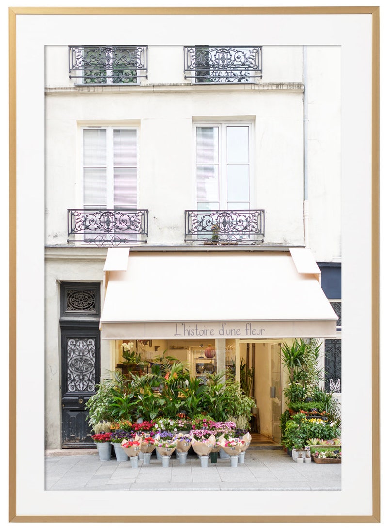 May include: A framed photograph of a Parisian flower shop. The shop has a cream-colored awning with the text "L'histoire d'une fleur." The shop's facade is cream-colored, with black wrought-iron balconies and a black door. A variety of flowers are displayed in buckets.