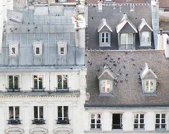 Paris  Photography -  Birds on a Rooftop in Paris, Cream and Grey, Architecture Photography, Neutral French Home Decor, Large Wall Art