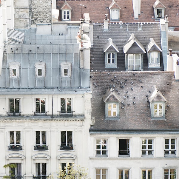 Paris  Photography -  Birds on a Rooftop in Paris, Cream and Grey, Architecture Photography, Neutral French Home Decor, Large Wall Art