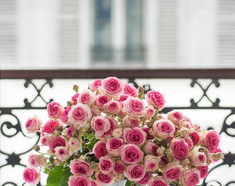 Paris Photograph - Roses on a Paris Balcony, Fine Art Photograph, Romantic French Home Decor, Large Wall Art