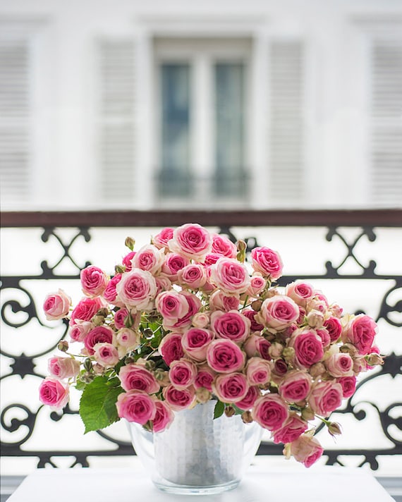 Paris Photograph - Roses on a Paris Balcony, Fine Art Photograph, Romantic French Home Decor, Large Wall Art