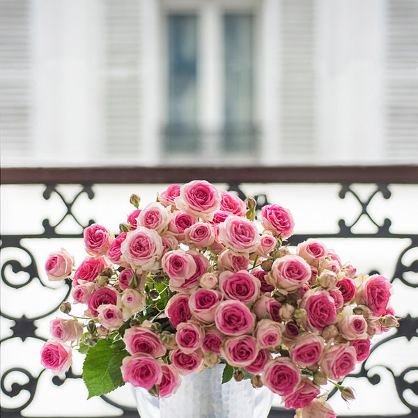 Paris Photograph - Roses on a Paris Balcony, Fine Art Photograph, Romantic French Home Decor, Large Wall Art