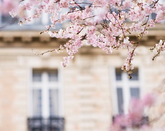 Foto Parijs - Bonjour Printemps, hallo lente, kersenbloesems in Parijs, kunst aan de grote muur, Frans interieur, galeriemuur