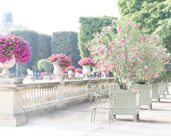 May include: A white stone balustrade with pink flowers in white pots. The flowers are in a garden setting with green trees and a white stone walkway.