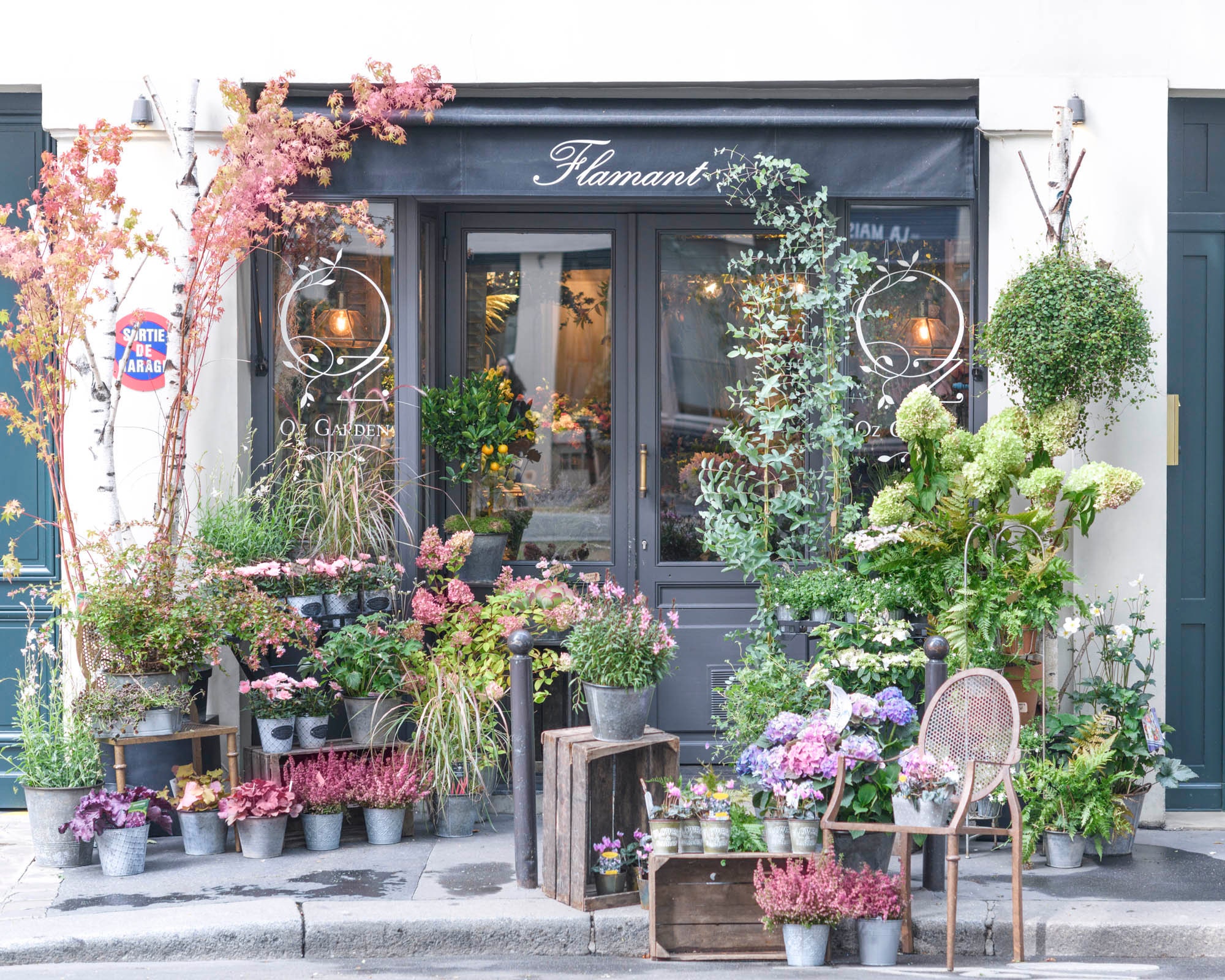 パリの写真 - オズガーデン、パリの花市場、パリのアートプリント