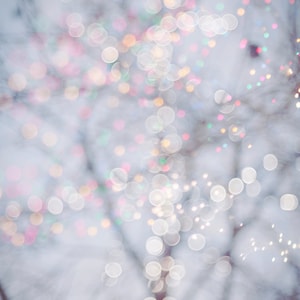 Winter Photography - Fairy Lights, Festive Winter Scene, Fine Art Landscape Photograph, Large Wall Art