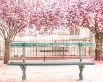 Paris Photography -  The Teal Bench at Notre Dame, Spring in Paris, Cherry Blossoms at Notre Dame, French Home Decor, Large Wall Art