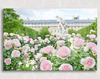 Photograph on Canvas, Eden Roses at the Palais Royal, Paris Fine Art Photo on Gallery Wrapped Canvas, Travel Home Decor,  Large Wall Art