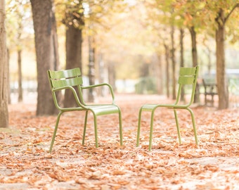 Paris Photography, Autumn in Paris, Two chairs in the Tuileries, Autumn Leaves, French Travel Photograph, Wall Decor