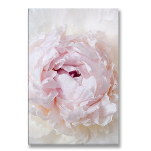 Paris Photo on Canvas, French Peony, Fine Art Photograph Printed on Gallery Wrapped Canvas, Large Wall Art, French Home Decor