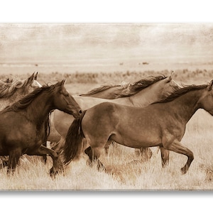 Wild Horses Photo on Canvas, Sepia Nature Fine Art Photograph on Gallery Wrapped Canvas, Black and White Wall Art, Home Decor image 1