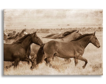 Wild Horses Photo on Canvas, Sepia Nature Fine Art Photograph on Gallery Wrapped Canvas, Black and White Wall Art, Home Decor