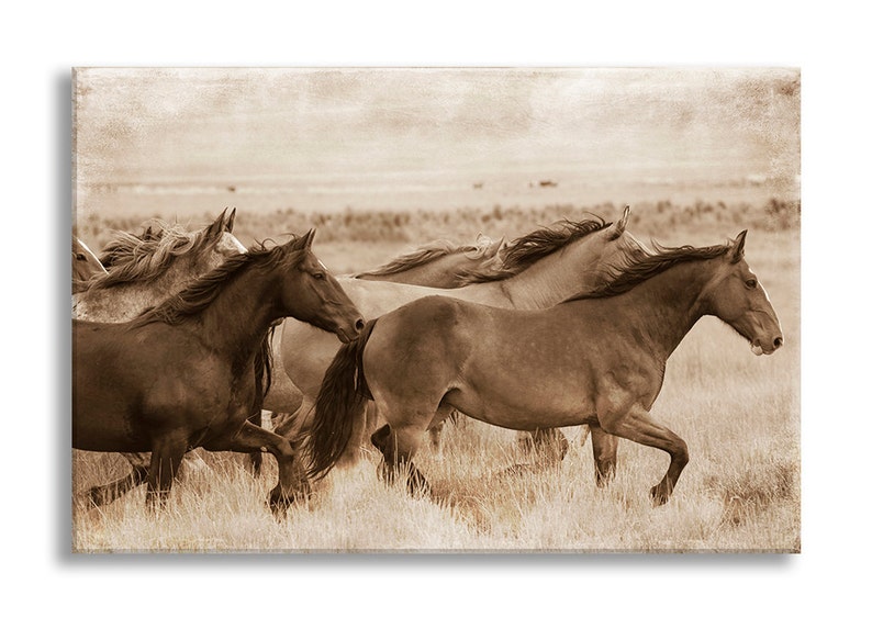 Wild Horses Photo on Canvas, Sepia Nature Fine Art Photograph on Gallery Wrapped Canvas, Black and White Wall Art, Home Decor image 1