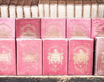 Paris Photography Print - Photograph of Pink Books, Bibliotheque Rose, France Travel Photograph, Large Wall Art, French Home Decor