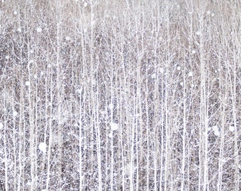 Winter Photography, Birch Trees in Snow, Nature Photography, Woodland Wall Decor, Large Wall Art