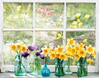 Fotografía floral, flores de primavera fotografía de bellas artes, arte de pared grande, decoración del hogar