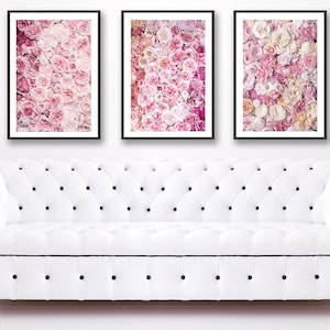 May include: Three framed prints of pink and white flowers. The prints are arranged in a row on a white wall above a white sofa.