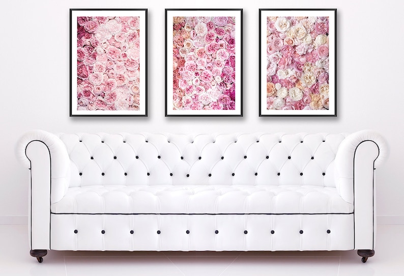 May include: Three framed prints of pink and white flowers. The prints are arranged in a row on a white wall above a white sofa.
