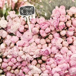 Paris Peony Photograph -  Pink Peonies at the Market, Large Wall Art, Floral French Home Decor