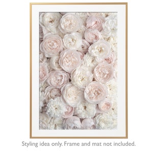 May include: A close-up image of a wall of soft, pale pink and white roses. The roses are arranged in a dense pattern, creating a romantic and delicate aesthetic.