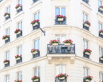 Paris Photograph - Red Geraniums in Saint Germain , Paris Wall Art, Large Wall Art, Neutral French Home Decor, Fine Art Photo