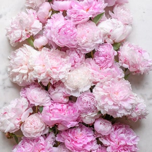 May include: A bouquet of pink peonies arranged in a cluster on a white marble background. The peonies are in various shades of pink, from light to dark.
