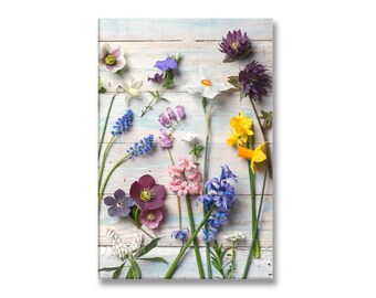 Botanical Photo on Canvas, Fine Art Gallery Wrapped Canvas, Spring Flowers, Large Wall Art, French Home Decor