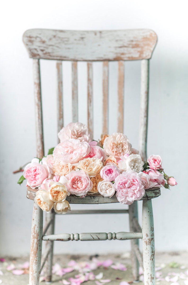 May include: A bouquet of pink and peach roses sits on a weathered white wooden chair. The roses are arranged in a loose, natural style, and the chair is a simple, rustic design.