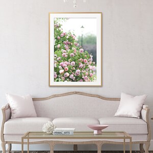 May include: A framed print of pink roses in a garden, displayed above a light pink sofa with matching cushions. A glass-topped coffee table and decorative bowl are in front of the sofa. A chandelier hangs from the ceiling, creating a bright, airy space.