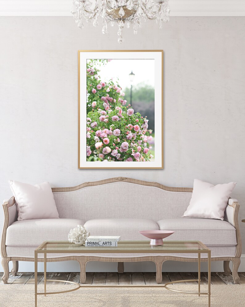 May include: A framed print of pink roses in a garden, displayed above a light pink sofa with matching cushions. A glass-topped coffee table and decorative bowl are in front of the sofa. A chandelier hangs from the ceiling, creating a bright, airy space.
