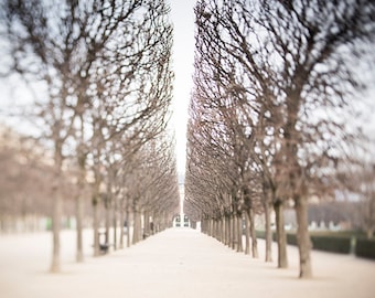 Paris Landscape Photograph -  Palais Royal Gardens in Winter, Paris Fine Art Photography Print, French Home Decor, Large Wall Art