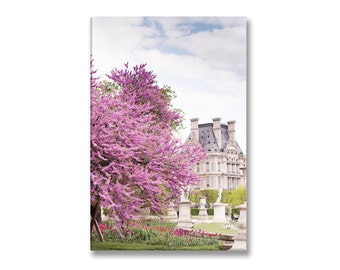 Paris in Spring Photo on Canvas, Blossoms at the Louvre Gallery Wrapped Canvas, French Home Decor, Large Wall Art