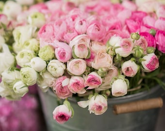 Paris Photography -  Pink and White Ranunculus at a Paris Market, French Home Decor, Large Wall Art,
