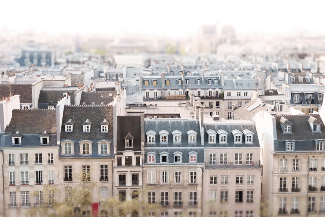 Paris Architecture Photography - Paris Rooftops, Cream and Grey