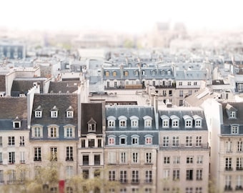 Paris Architecture Photography - Paris Rooftops, Cream and Grey