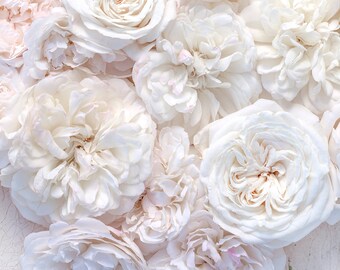 New York City Photograph –  New York Roses in White, Travel Photography, Gallery Wall, Large Wall Art