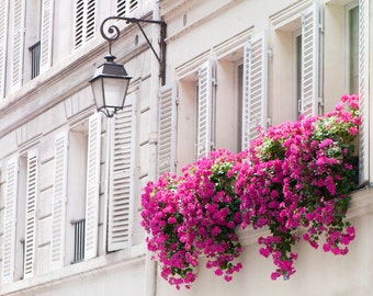 Paris Photograph - Pink Flowers in Window Basket and Shutters, Travel Home Decor, Wall Art