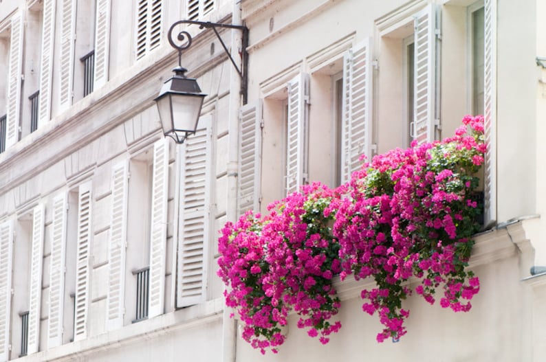 Paris Photograph Pink Flowers in Window Basket and Shutters, Travel Home Decor, Wall Art image 1