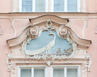 Travel Photography - Peacock Window, Prague, Czech Republic, Large Wall Art, Romantic Pink Home Decor