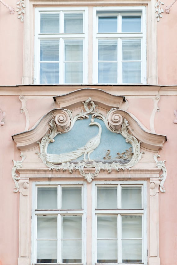 Travel Photography - Peacock Window, Prague, Czech Republic, Large Wall Art, Romantic Pink Home Decor