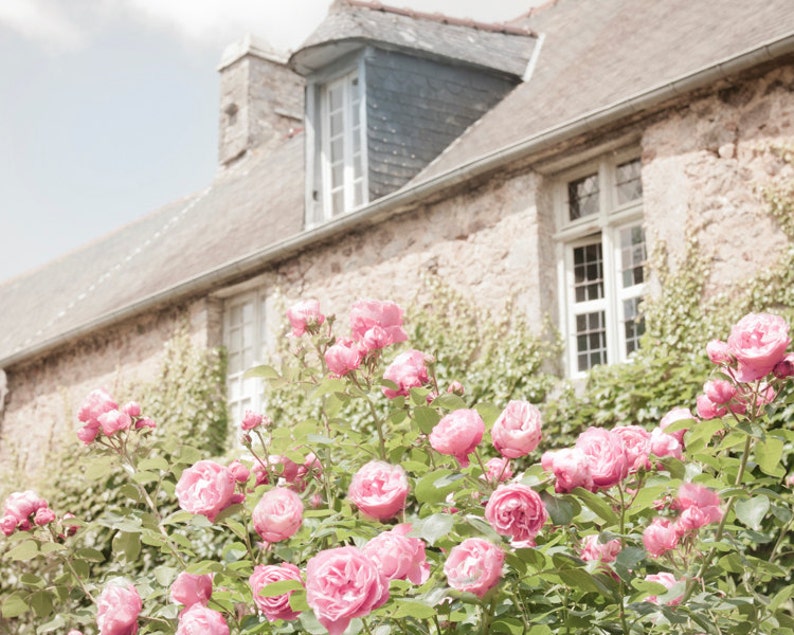 French Country Photograph, Cottage and Roses, Country Home Decor, Fine Art Travel Photograph, Large Wall Art image 1