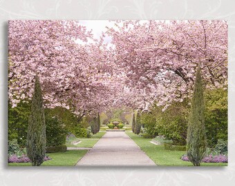 London Photo on Canvas, Regents Park Cherry Blossoms, England Travel Photo, Large Wall Art, Home Decor